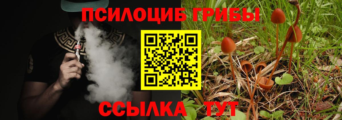 Псилоцибиновые грибы Psilocybine cubensis  Псилоцибиновые грибы мухоморы  Вход с VPN  Энгельс 